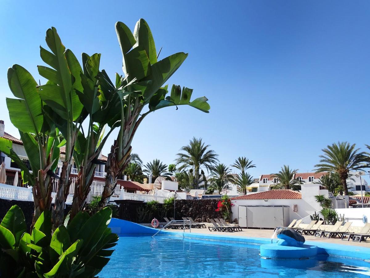 Las Americas Luxury Low-Cost Apartment With Terrace & Views Playa de las Américas Buitenkant foto